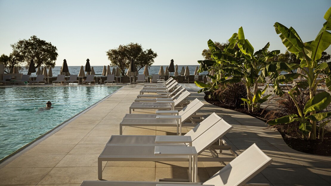 Domes Aulus Zante, Autograph Collection